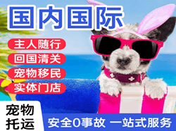 白城机场托运国际宠物托运 【国